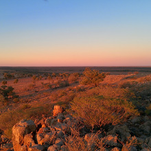 Sturt National Park