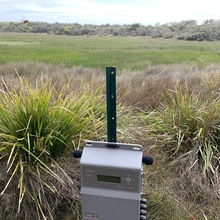Tasmanian Wetlands