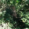 Site 1