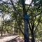 Site 2