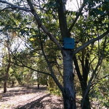 Site 2
