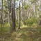 Woondum NP