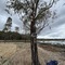 Barmah Lake 3 (BL3) - FL05