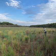 Heifer Swamp