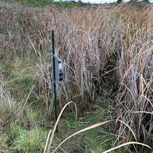 Gartsides Swamp