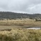 3: Stockers Dam
