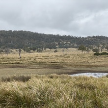 3: Stockers Dam