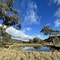 6: Big Paddock 2